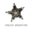 Anush Jinanyan jewelry and accessories logo